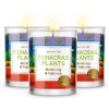 Magnificent 101 Set of 3 Long-Lasting 7 Chakras Plants Aromatherapy Candles | 10.5 Oz - 42-Hour Burn | 100% Soy Wax & Herbs | Ideal for Meditation